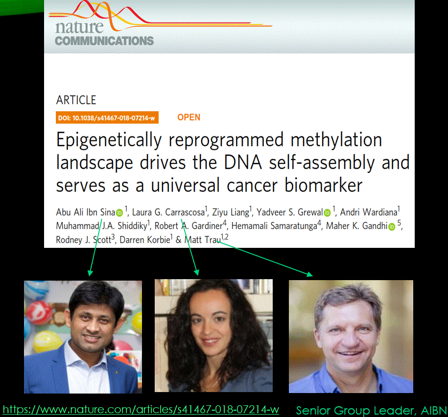 Epigenetically reprogrammed methylation landscape drives the DNA self-assembly and serves as a universal cancer biomarker